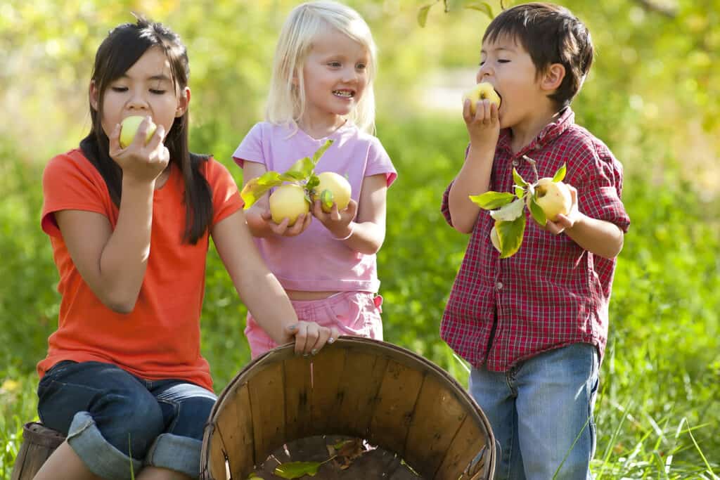Kids enjoying apples